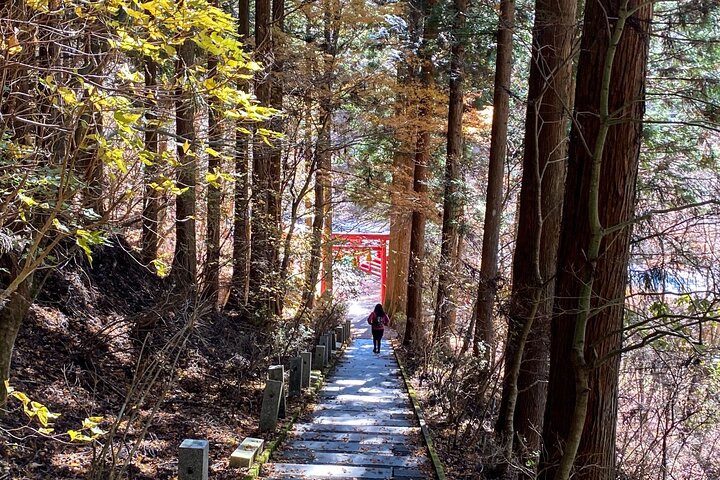 Tour privado de senderismo para ver el monte Fuji