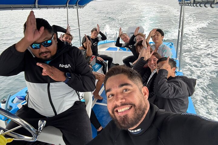 Nada con el tiburón ballena en La Paz, México