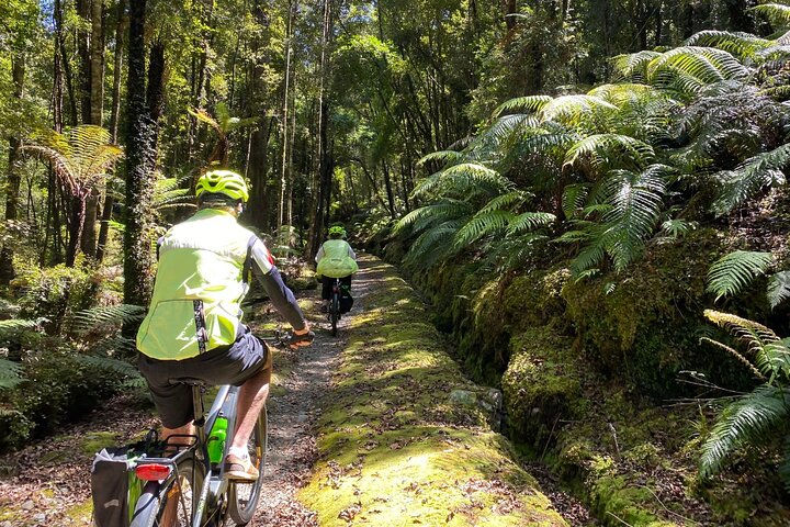 Tour a piedi della gola di Hokitika e del sentiero selvaggio in eBike