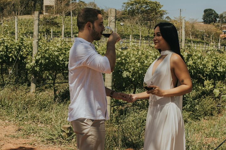 Excursion au volcan Etna, dégustation de vins, déjeuner dans un domaine viticole et transfert
