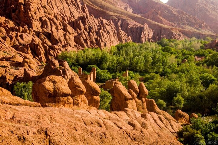 Cañón de los dedos de mono de la garganta de Dades guiado con experiencia local