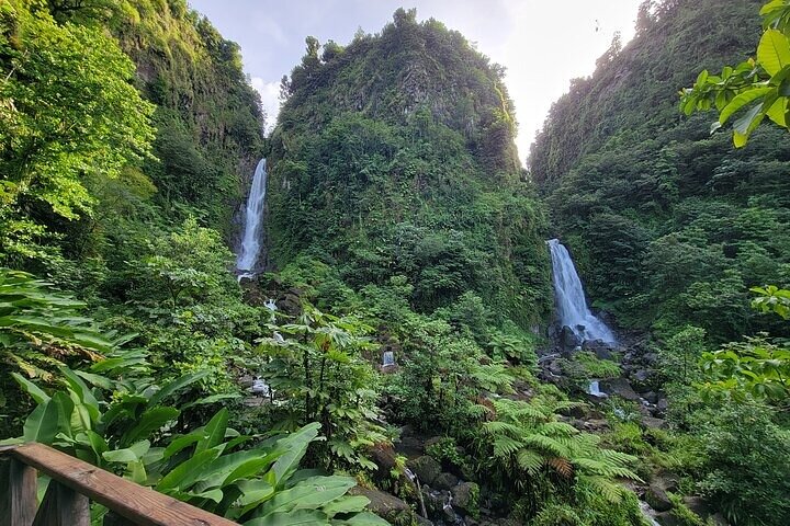 Dominica Roseau City and Rainforest Tour