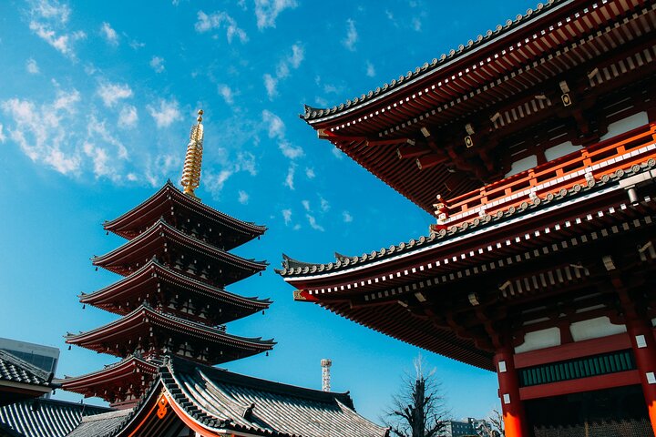 Tokyo Customized Private Tour (Must See Places in 1 Day)