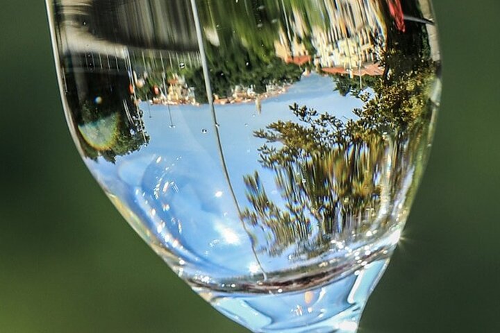 Isola di Krk : tour in cantina, degustazione di vini biodinamici e abbinamento gastronomico
