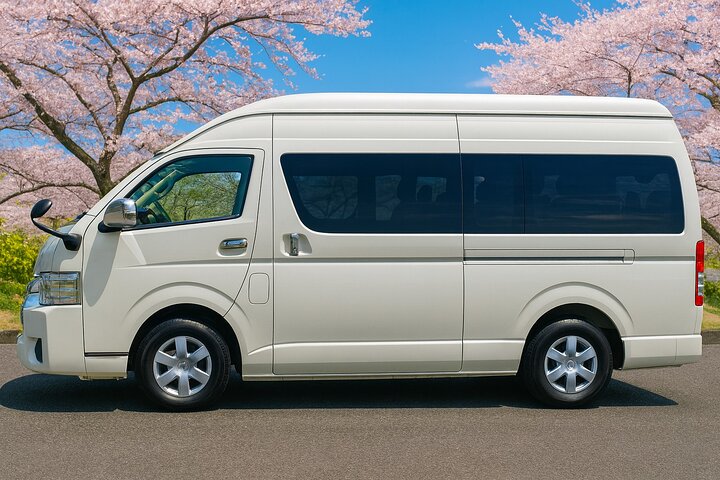 Narita flygplats (NRT) Till/från Tokyo City Privat transfer