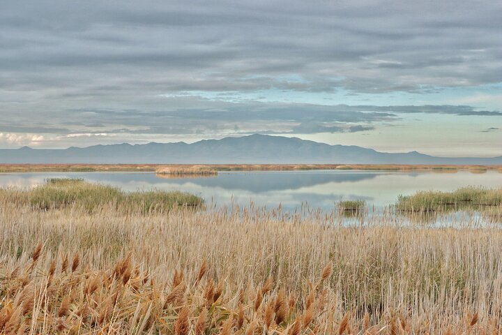 Hoteller i nærheden af Great Salt Lake Safari