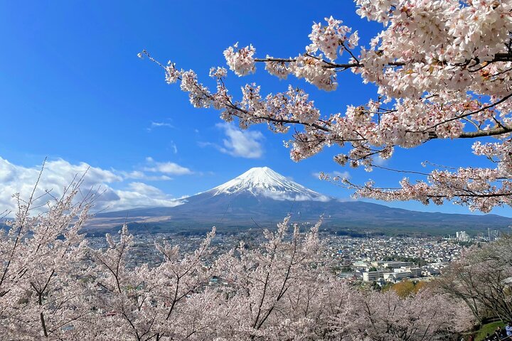 Spectaculaire croisière sur le mont Fuji et le lac, nouilles faisant l'expérience