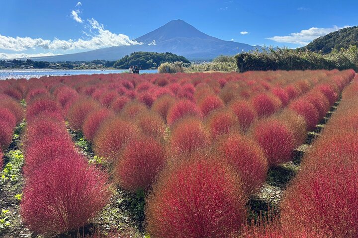 Spectaculaire croisière sur le mont Fuji et le lac, nouilles faisant l'expérience