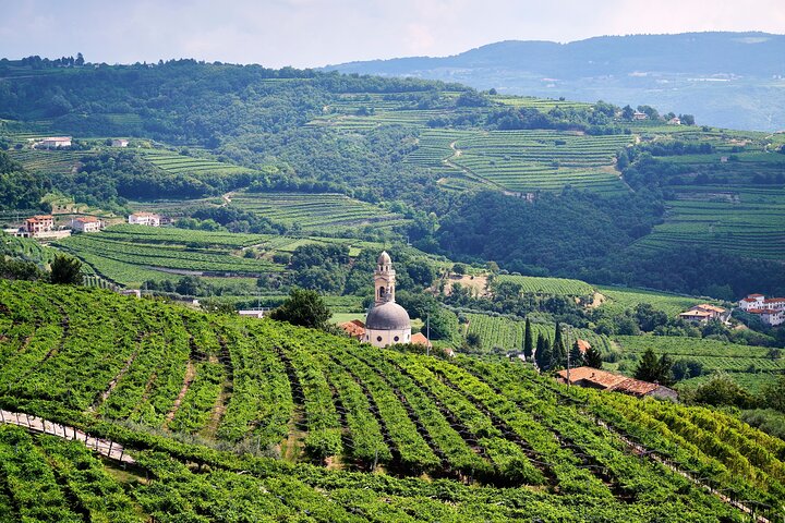 Vanuit Verona : Valpolicella & Amarone-wijnervaring van een halve dag