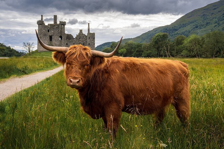 Privat rundtur i högländerna, Glencoe och slott från Stirling