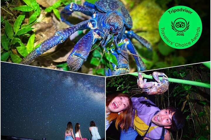 Okinawa Ishigaki Island Night Tour notturno del cielo stellato e della giungla