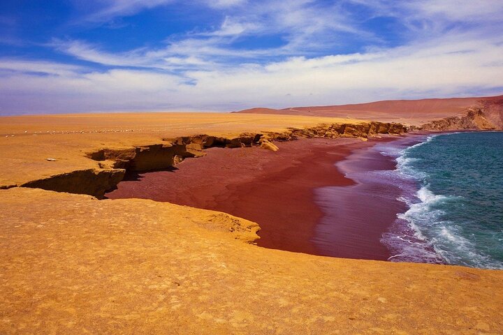 Excursão de dia inteiro Ilhas Ballestas, Reserva Paracas e Huacachina