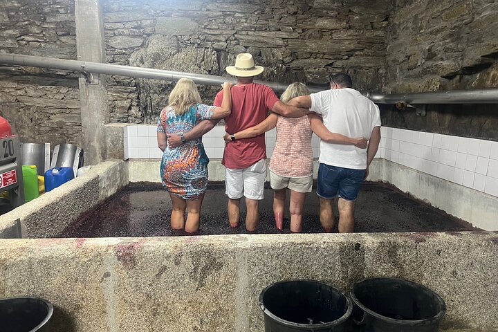 Erstaunliche Weintouren im Douro-Tal
