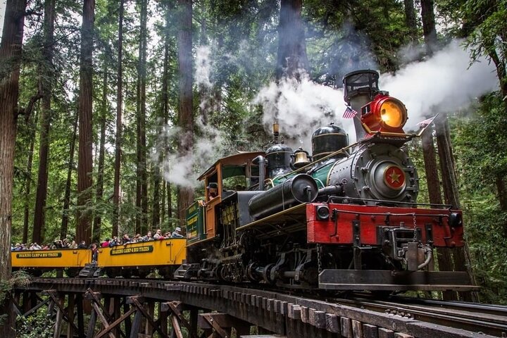 Excursión de un día al tren de vapor de la secuoya y la costa de Santa Cruz