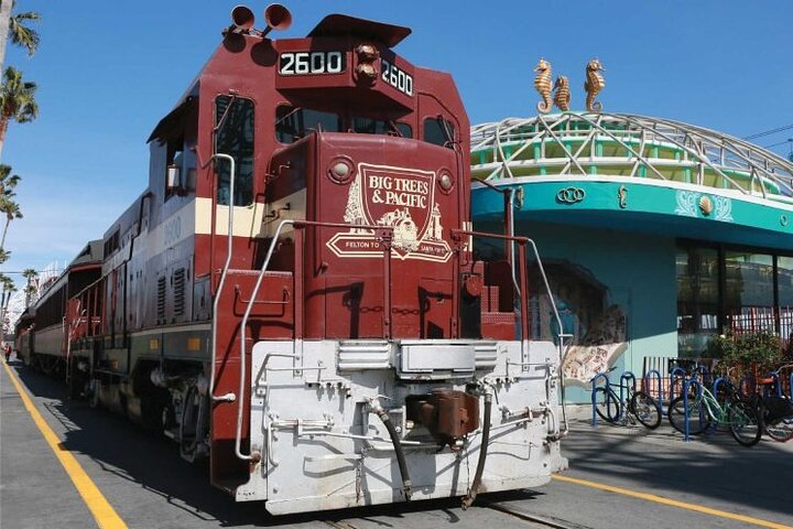 Excursión de un día al tren de vapor de la secuoya y la costa de Santa Cruz