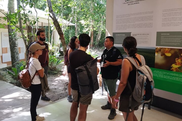 Bacalar: Wilde Calakmul-Natur, wie sie sein sollte | Klettern, Wandern & Fledermäuse