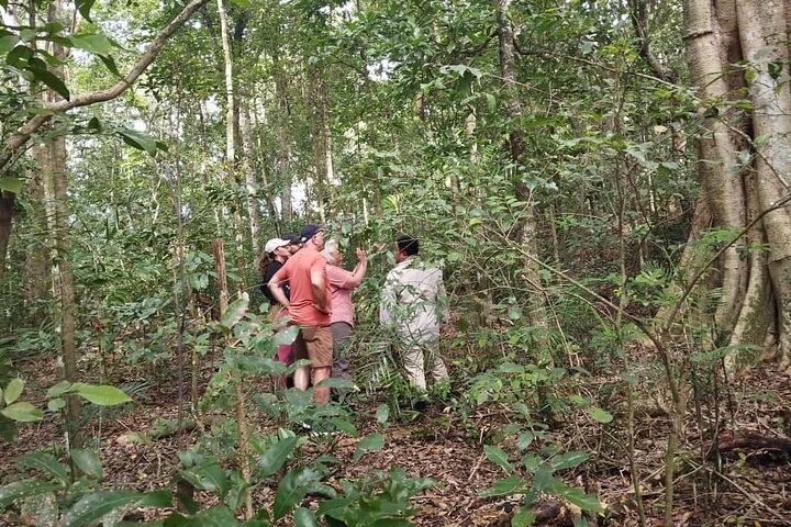 Bacalar: Wilde Calakmul-Natur, wie sie sein sollte | Klettern, Wandern & Fledermäuse