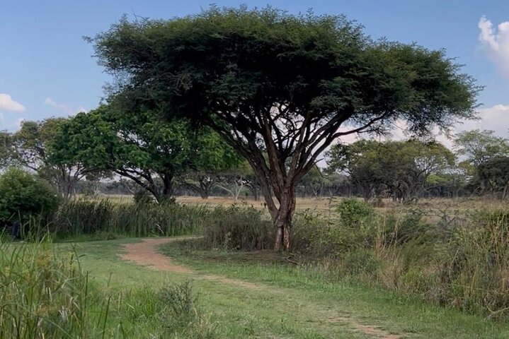 Private Harare City Tour: Wildlife, kunst og ikoniske landemerker