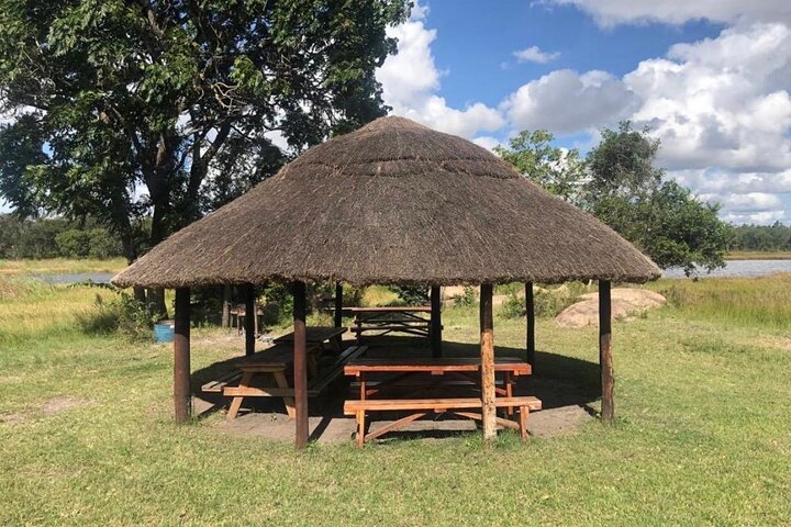 Private Harare City Tour: Wildlife, kunst og ikoniske landemerker