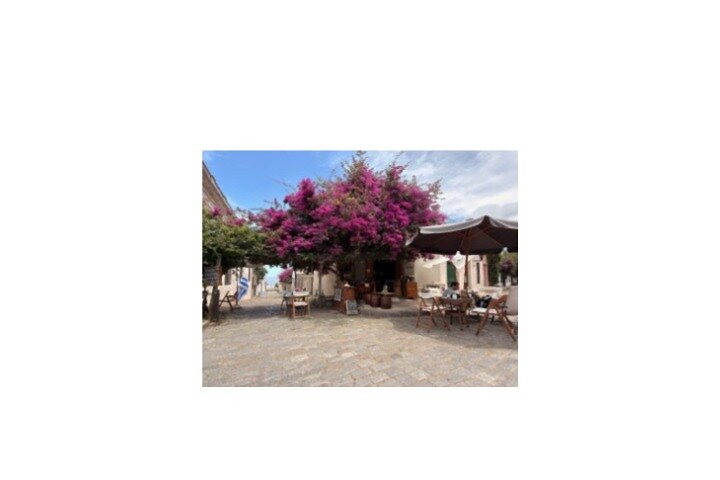 Tour a pie Colonia del Sacramento. ENG, SPA, GER, POR