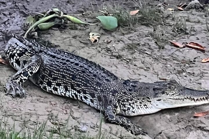 Cruzeiro pelo rio Borneo (Klias) e passeio pelos vaga-lumes