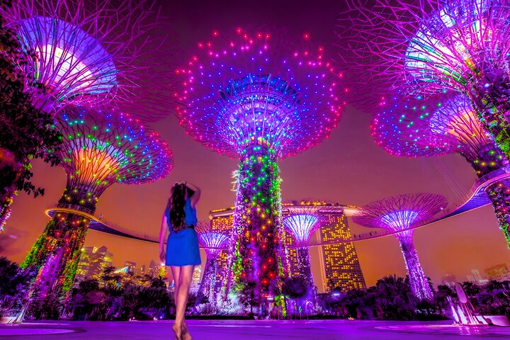Singapore River Cruise with Spectra & Garden Rhapsody Light Show