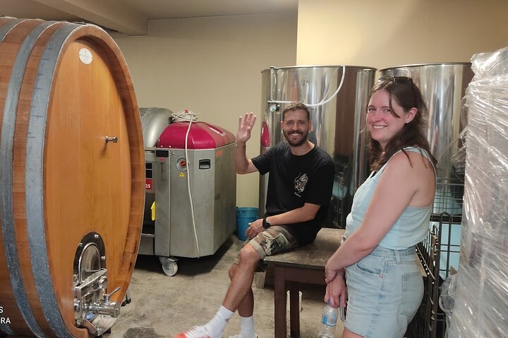 Cefalonia: Experiencia privada de cata de aceite de oliva, miel y vino