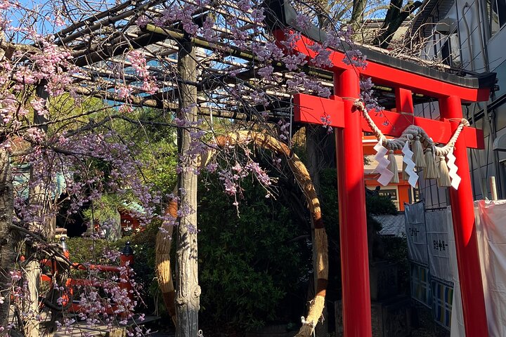 Santuário da noite e Izakaya Japonês Sake Experience Tour