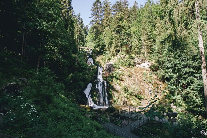 Partindo de Estrasburgo, visite a Floresta Negra em Triberg, Titisee e Freiburg.