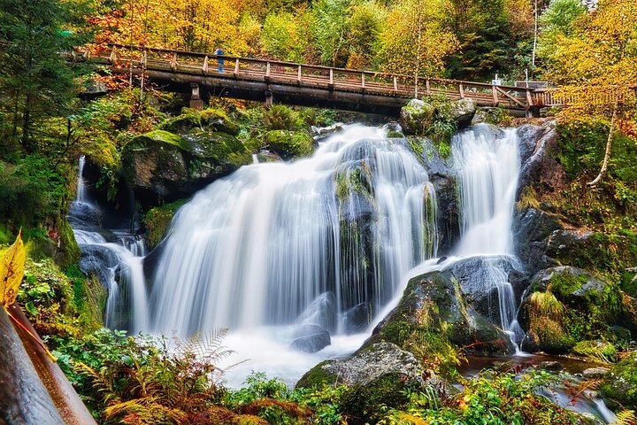 Partindo de Estrasburgo, visite a Floresta Negra em Triberg, Titisee e Freiburg.