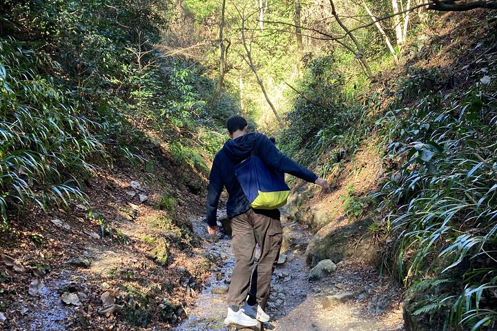 Escursione di un'intera giornata al Monte Takao, inclusa la sorgente termale