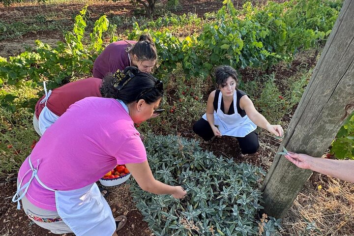Ostuni : Cours de cuisine en famille dans notre maison de campagne