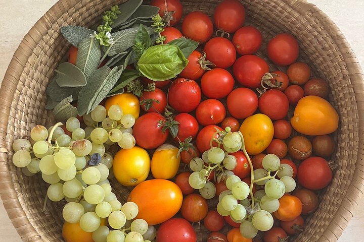 Ostuni : Cours de cuisine en famille dans notre maison de campagne