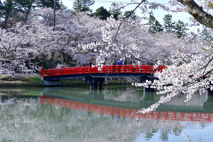 Escursione privata a terra di Aomori Castello di Hirosaki e Apple Hill