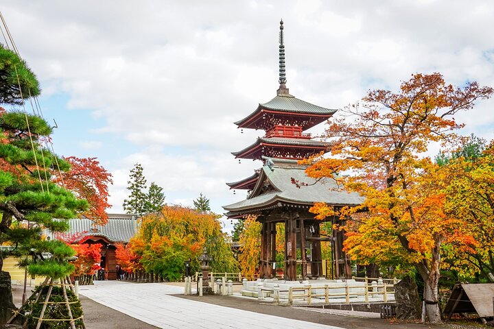 Escursione privata a terra di Aomori Castello di Hirosaki e Apple Hill