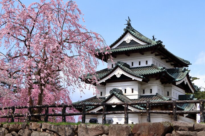 Escursione privata a terra di Aomori Castello di Hirosaki e Apple Hill