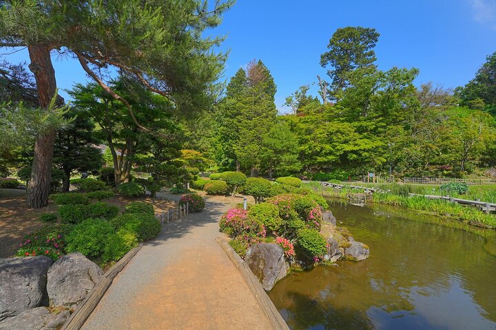 Escursione privata a terra di Aomori Castello di Hirosaki e Apple Hill