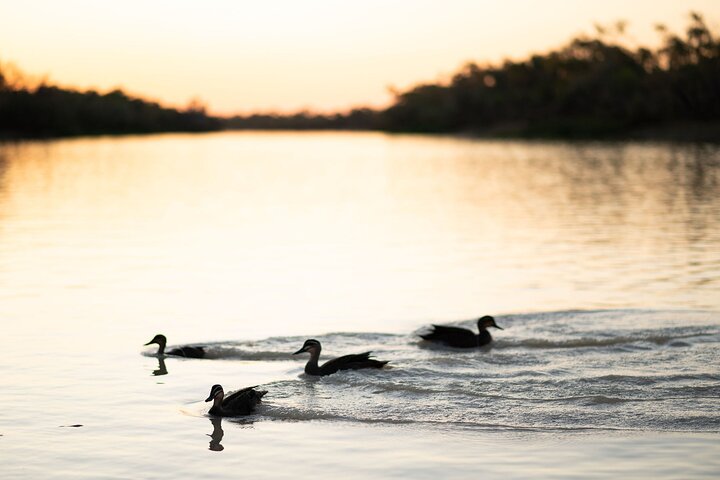 Crucero al atardecer Drover's con cena y espectáculo Smithy's en Longreach