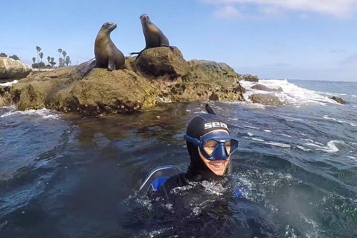 Begeleide snorkeltour door La Jolla Cove met zeeleeuwen en zeegrotten