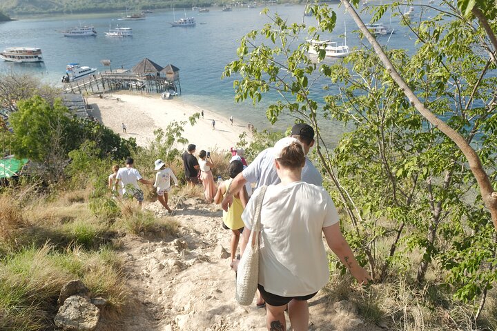 Heldagstur till Komodo Island från Labuan Bajo