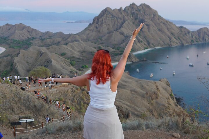 Heldagstur till Komodo Island från Labuan Bajo