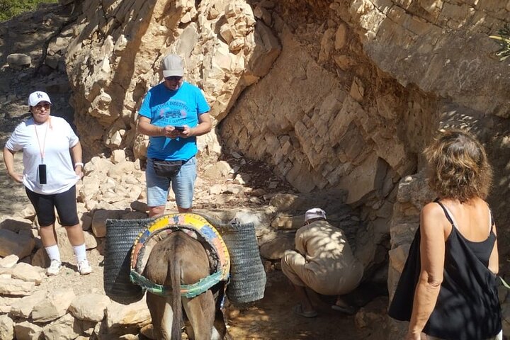 Excursión de un día: Naturaleza y desierto de Essaouira