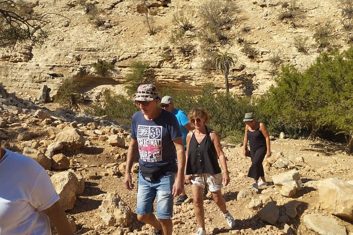 Excursión de un día: Naturaleza y desierto de Essaouira