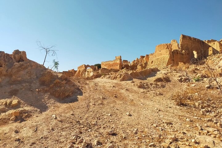 Excursión de un día: Naturaleza y desierto de Essaouira