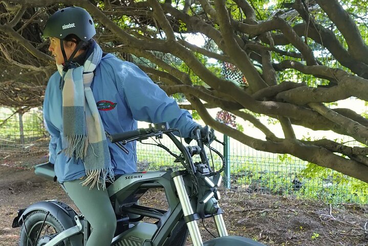 Hoteller i nærheden af Electric Segway i Punta Arenas
