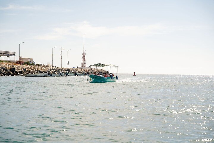 Expérience de fin de Terre – Arche, plages et vie marine