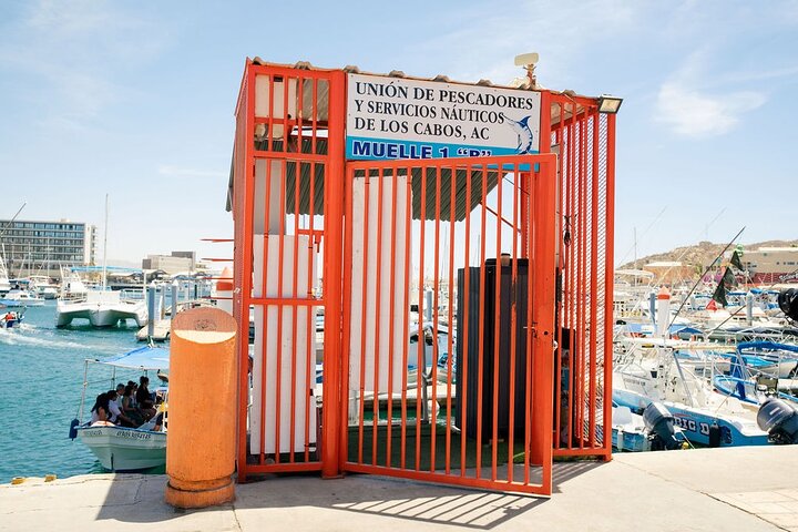 Expérience de fin de Terre – Arche, plages et vie marine