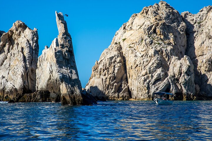 Expérience de fin de Terre – Arche, plages et vie marine