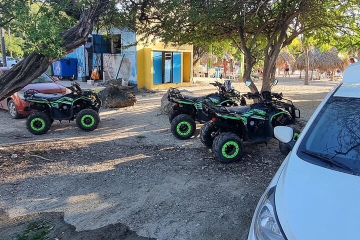 West Curaçao ATV Tour : Deserto & Cave - Flamingo - Tartarughe...