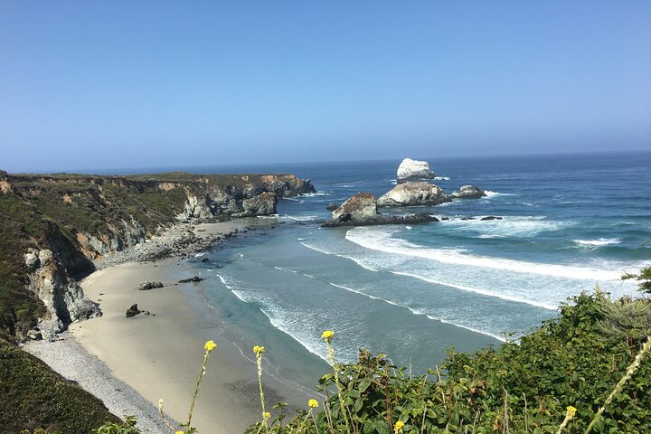 Kystvandreture på Californiens centrale kyst